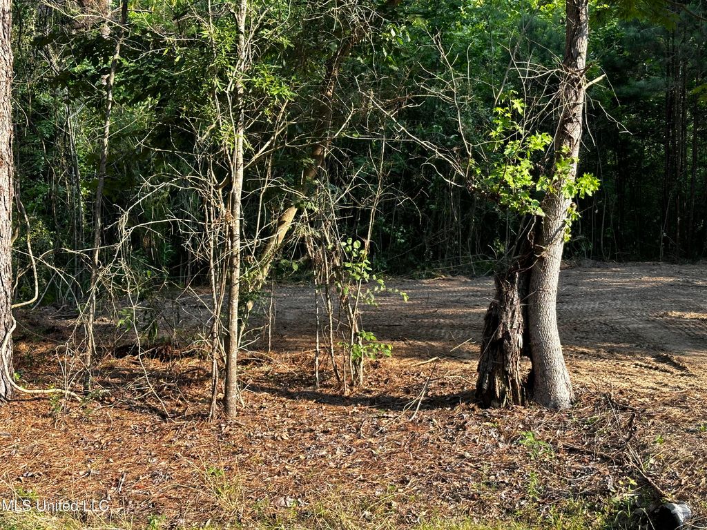 207 Church Rd, Brandon, MS 39047 Lot/Land for Sale MLS 4082905