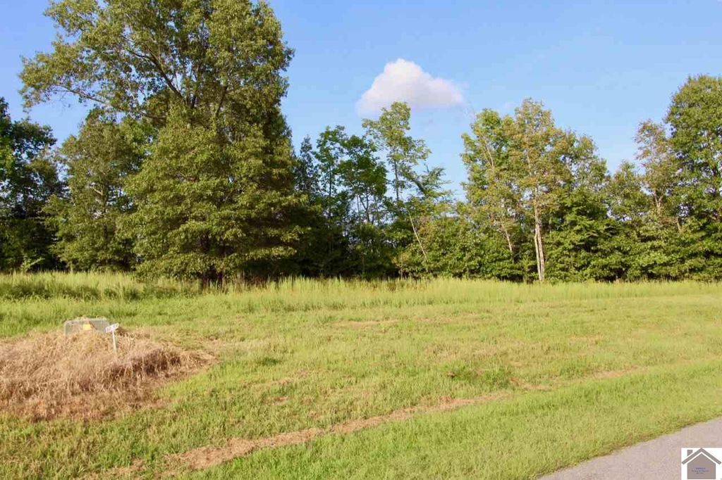 59 Kelsey Joe Ln JO, Eddyville, KY 42038 MLS 109307 Trulia
