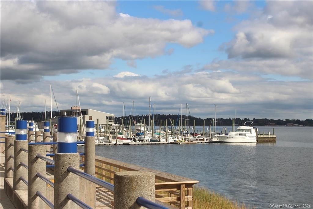 Address Not Disclosed, New Haven, CT 06519