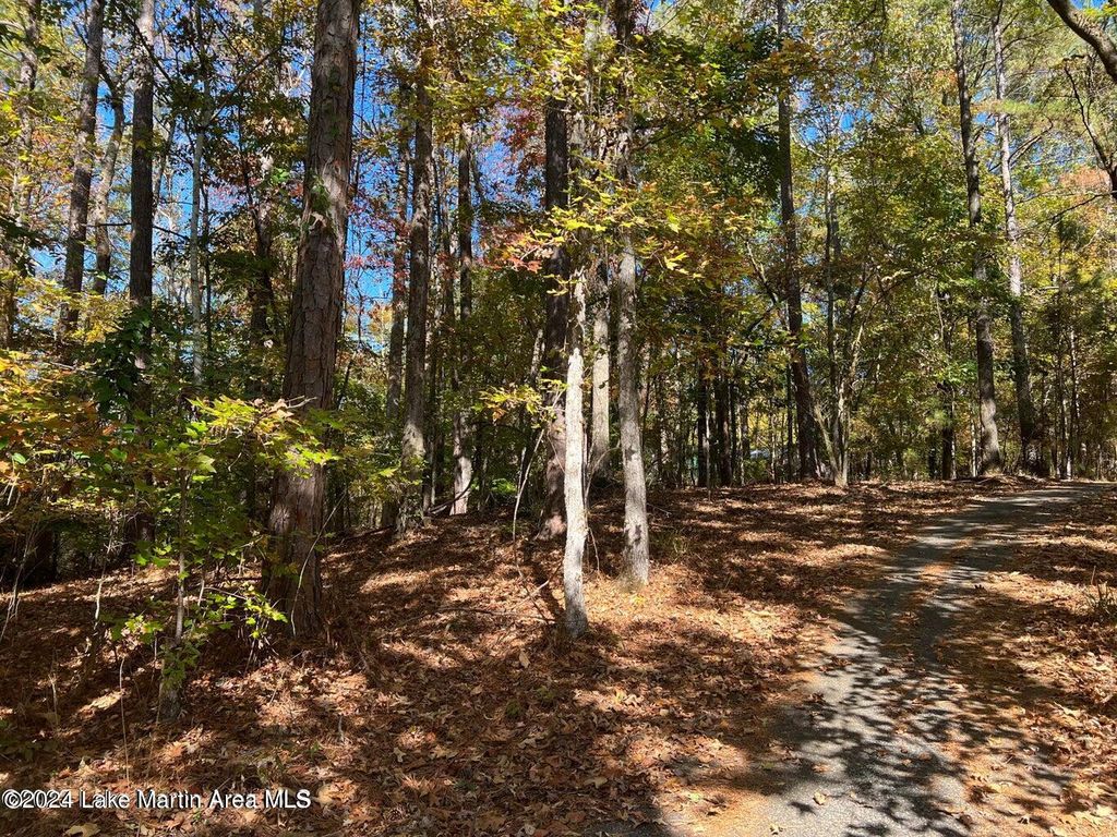 17 Birdie Run, Dadeville, AL 36853 Lot/Land for Sale MLS 24506