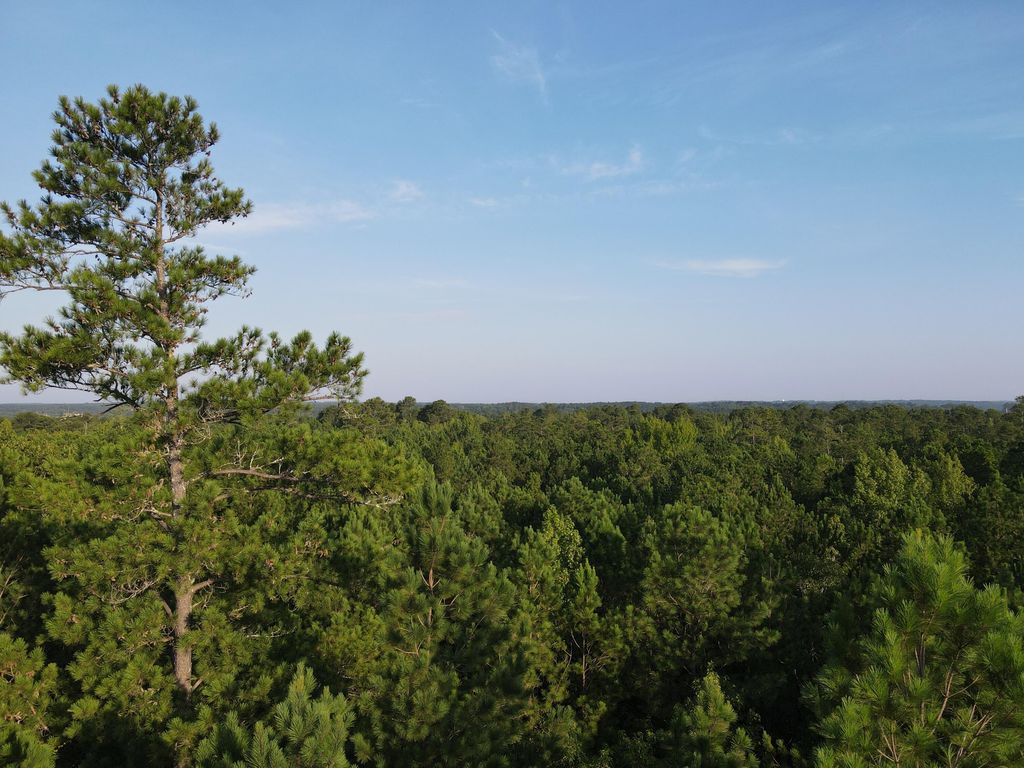 1325 Reynolds Farm Rd, Grovetown, GA 30813 Trulia