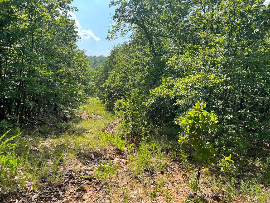 000 Water Oak Lane, Mammoth Spring, AR 72554 Trulia