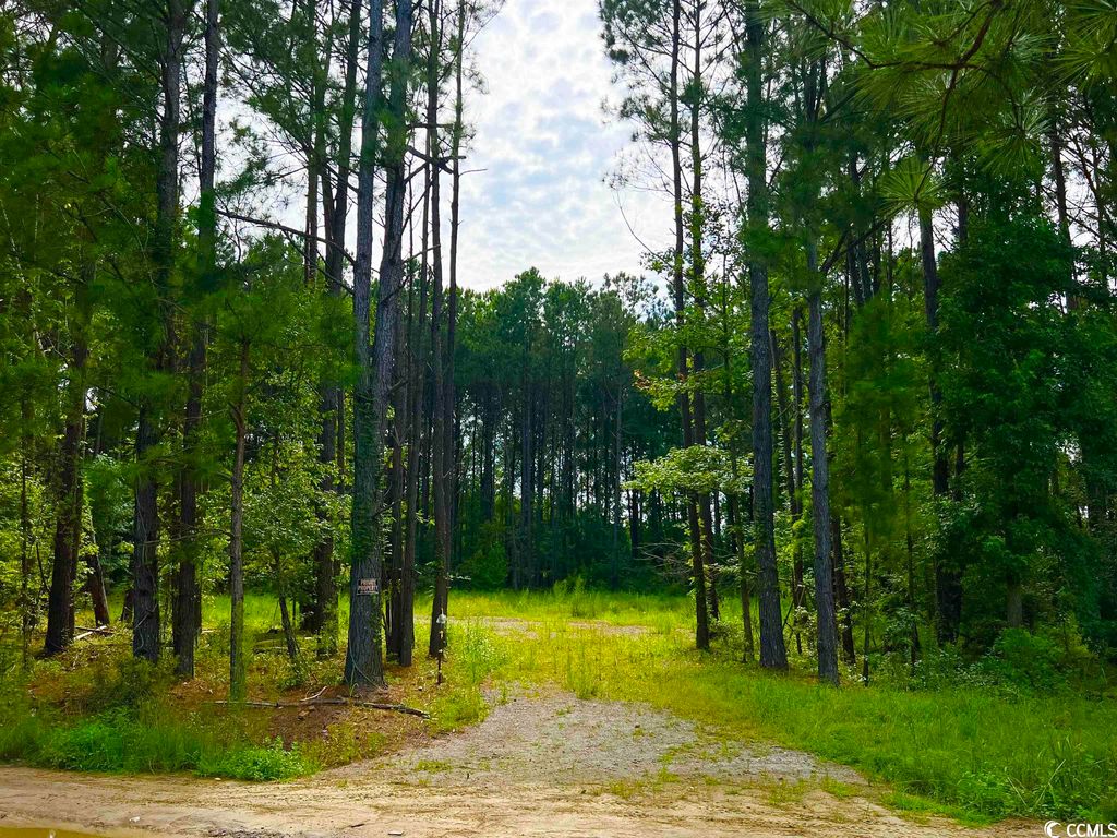 TBD Kickapoo Dr., Green sea, SC 29545 Trulia