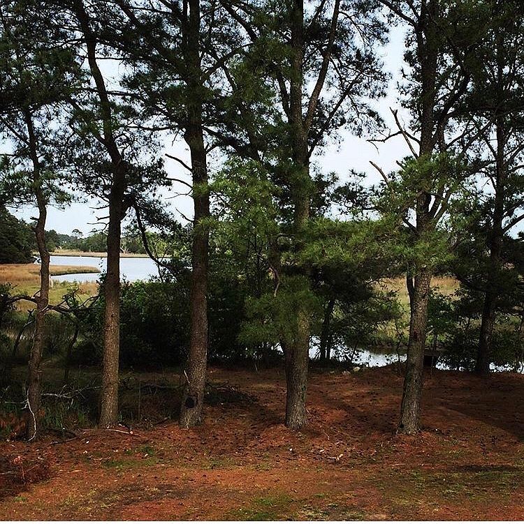 31 Forrest Dr, Poquoson, VA 23662 Trulia