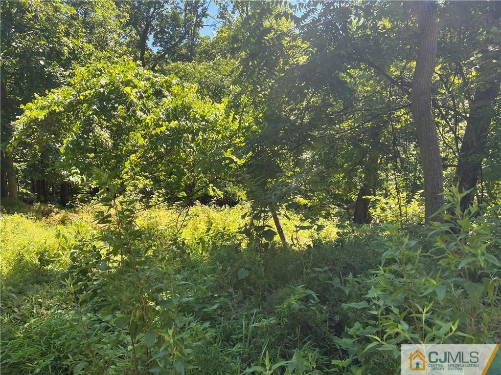 17 Cardownie St, Edison, NJ 08817 Trulia