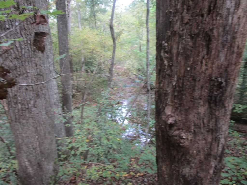 643 New Grove Rd, Kenbridge, VA 23944 Trulia