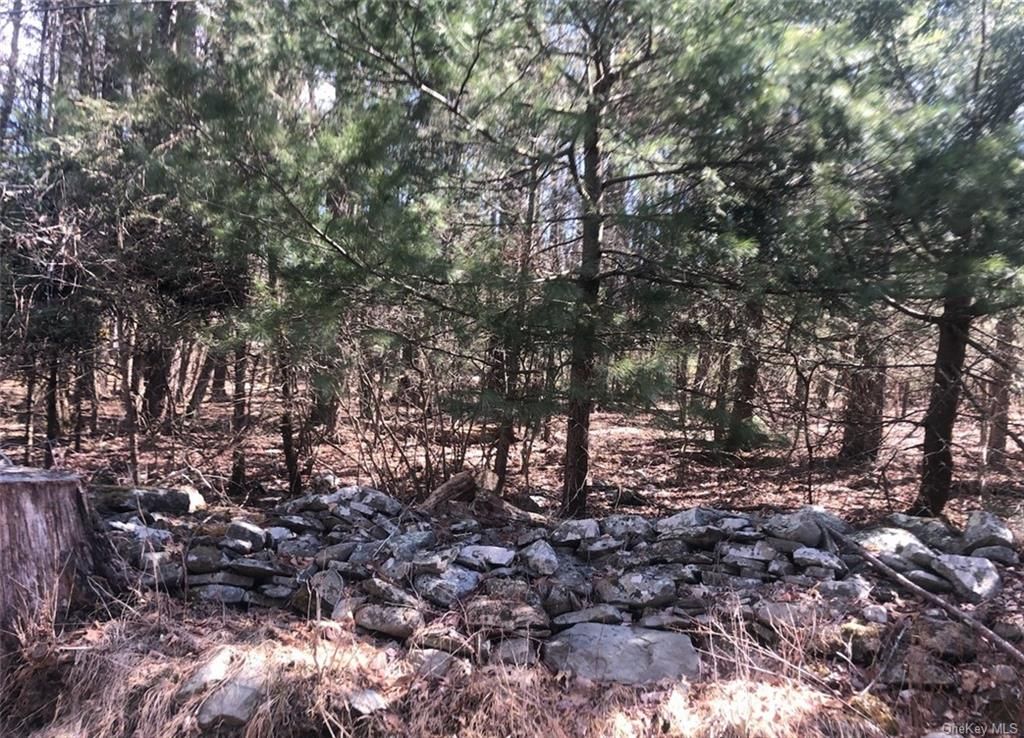 162 Old Cahoonzie Road, Sparrow Bush, NY 12780 Trulia