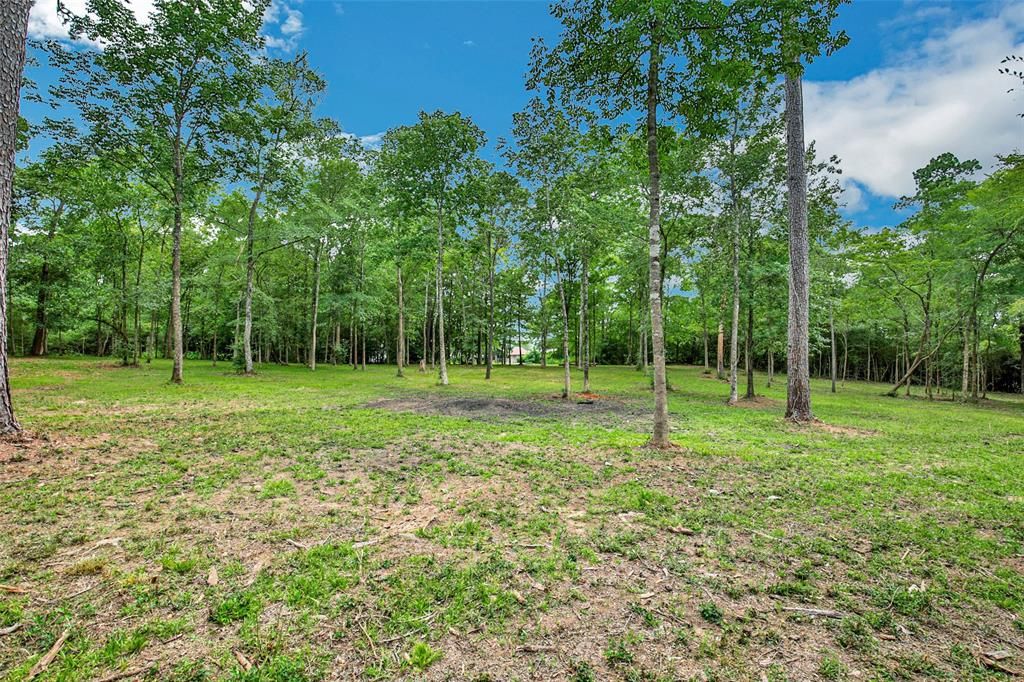 1991 Barretts Landing Rd, Trinity, TX 75862 Trulia