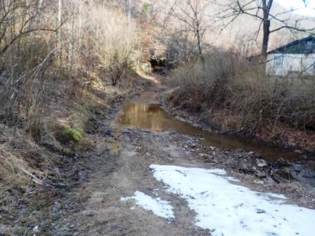 Billy Lowe Br, Pikeville, KY 41501 - Lot/Land - MLS# 114897 - 3 Photos