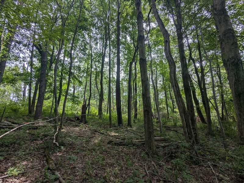 State Highway 152 WP001, Toronto, OH 43964 MLS 88487 Trulia