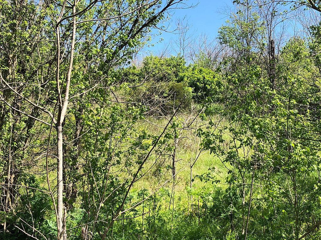 140 Pilot View Rd, Winchester, KY 40391 Trulia