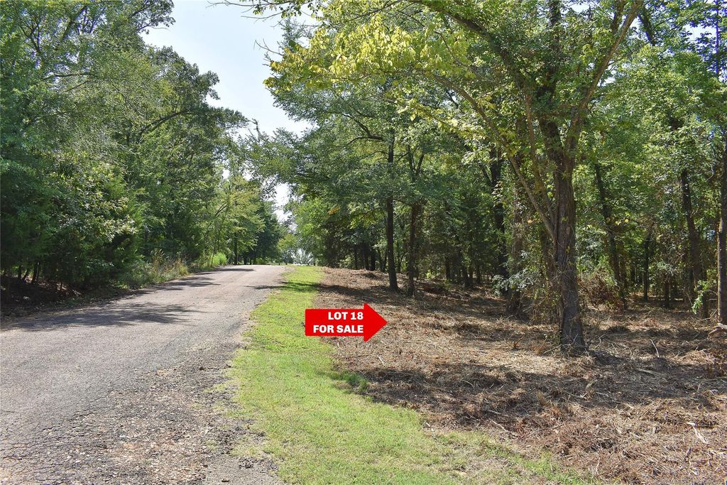 2423 W Olivia Dr, Hugo, OK 74743 Trulia