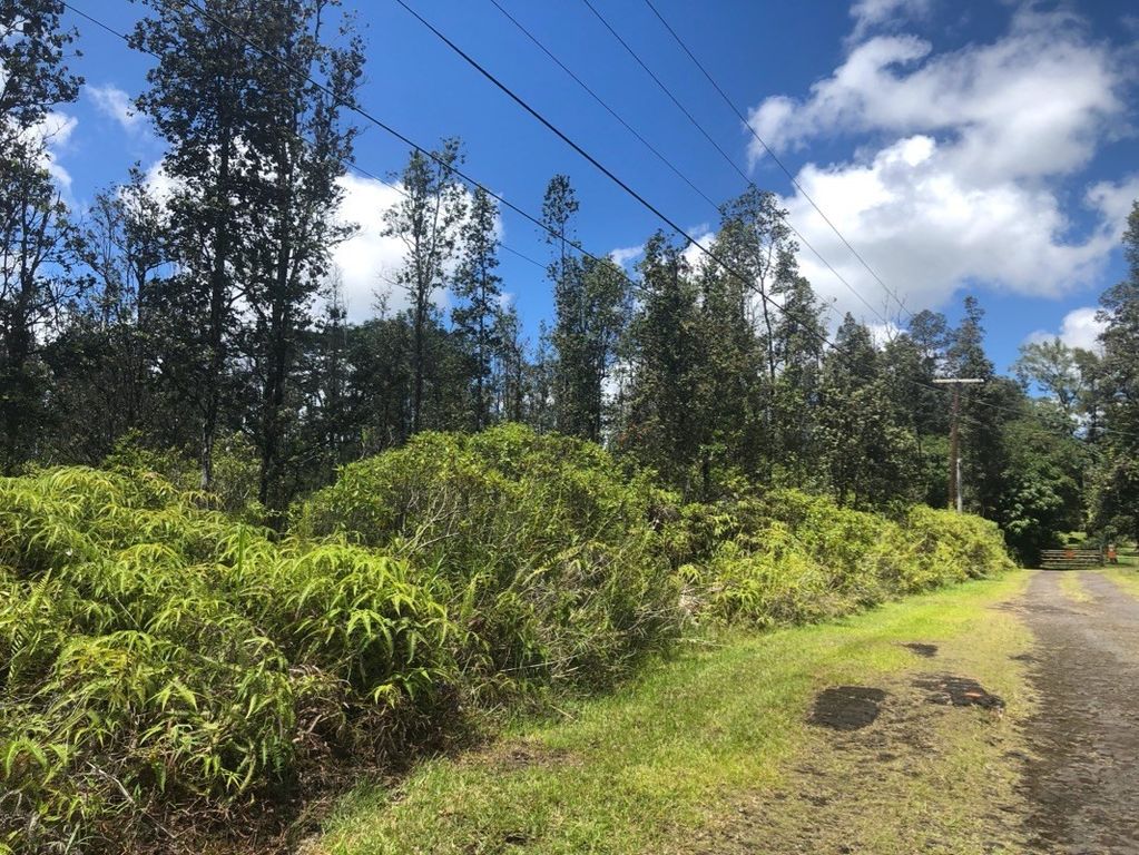 1 Orchidland Dr, Kurtistown, HI 96760 Trulia