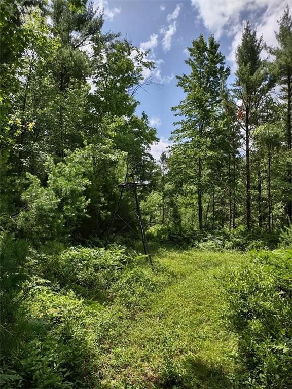 N8976 Flood Road, Black River Falls, WI 54615 Trulia