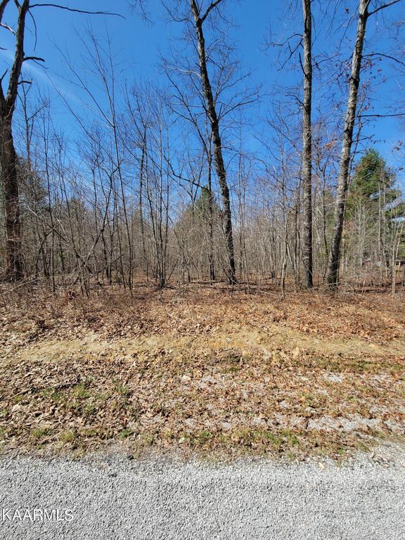 Bowater Rd 4B, Deer Lodge, TN 37726 Trulia