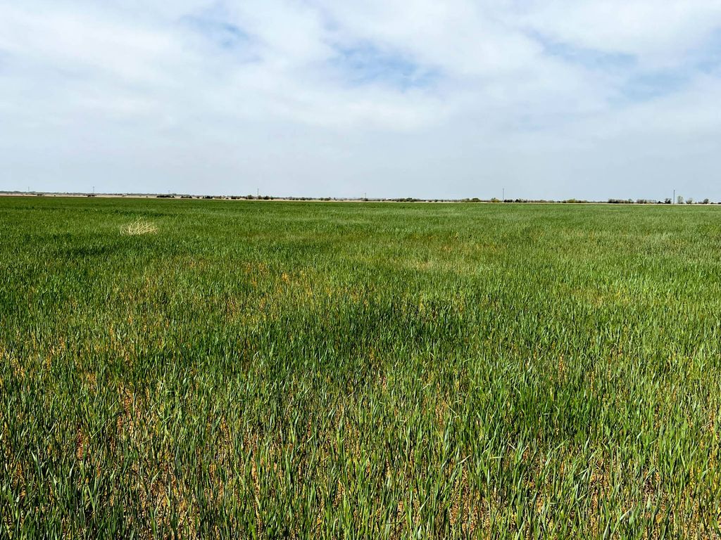 State Highway 11A, Wakita, OK 73771 Trulia