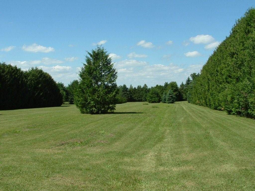 90th St, Cresco, IA 52136 Trulia