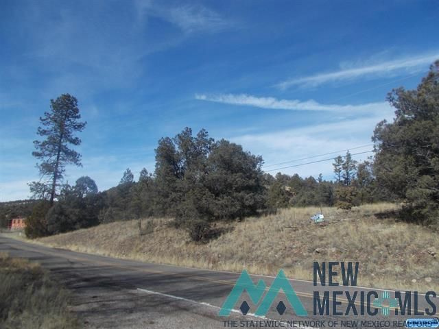 Lot 5 Highway 35, Mimbres, NM 88049