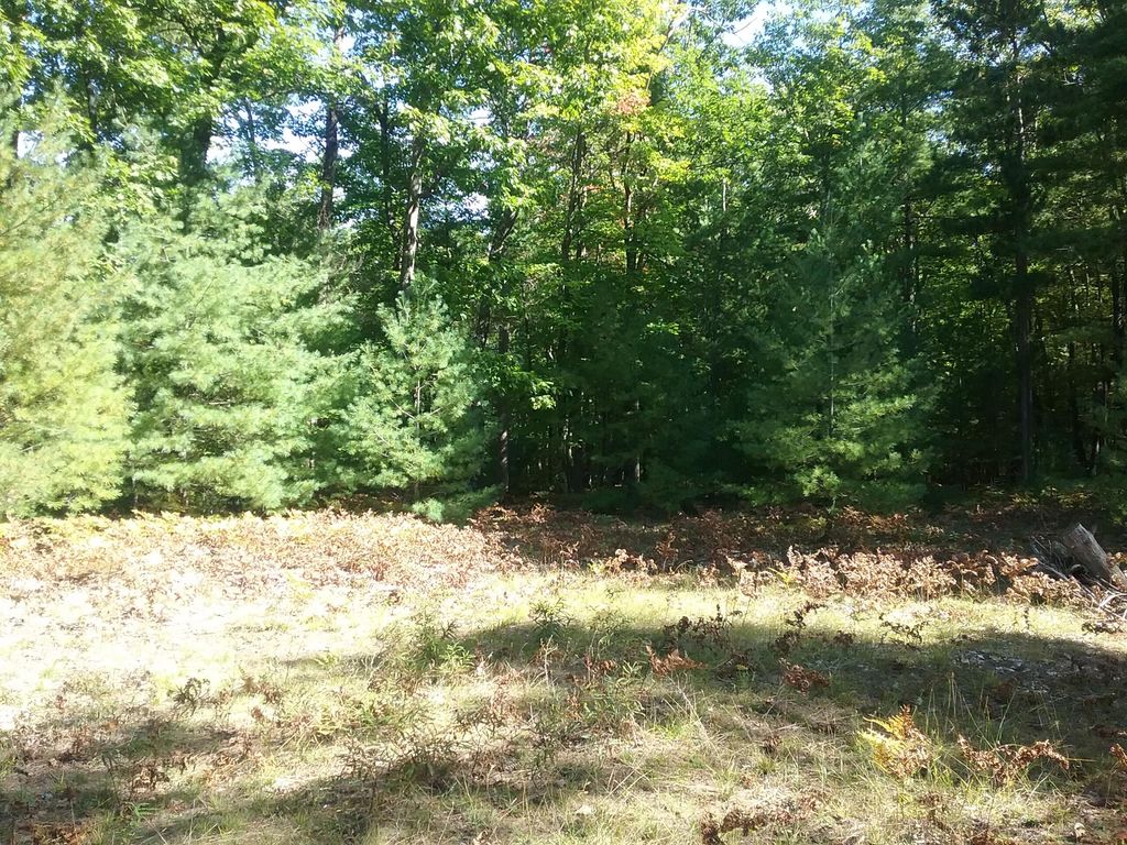 865 Wintree Dr, Indian River, MI 49749 Trulia