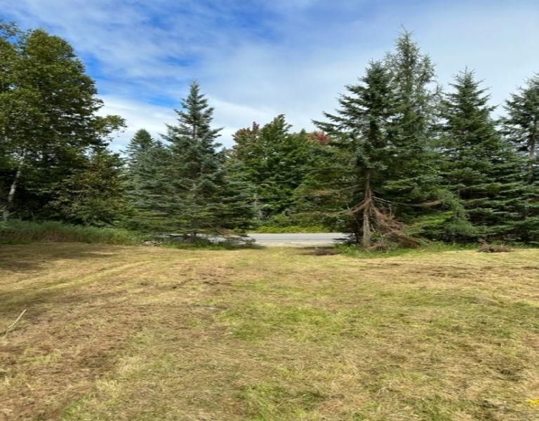 217 Thistle Street, Upton, ME 04261 MLS 4967479 Trulia