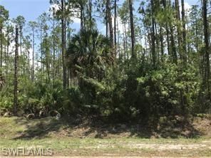  18th AVE NE, Naples, FL 34120