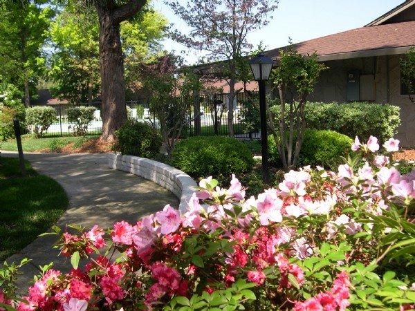 1301 Sheridan Ave, Chico, CA 95926
