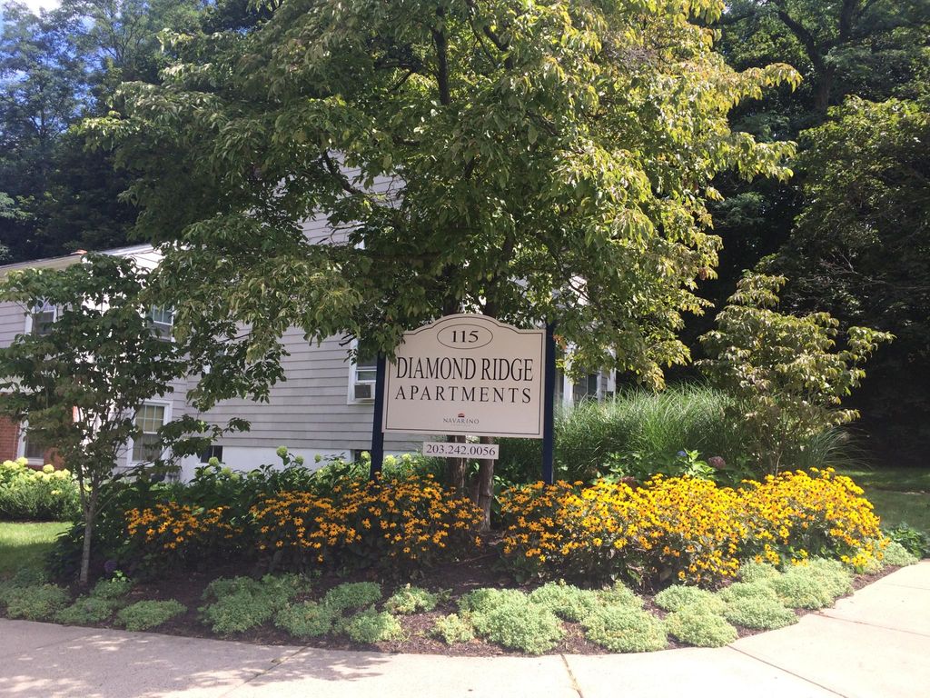 115 Diamond St, New Haven, CT 06515 Trulia