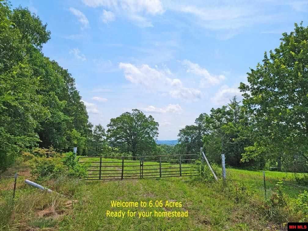 Highway 101, Gamaliel, AR 72537 Trulia