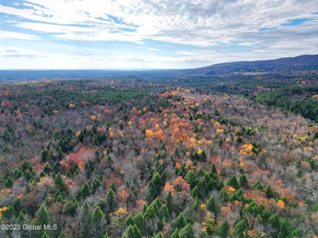 154 Alpine Meadows Road, Porter Corners, NY 12859 Trulia