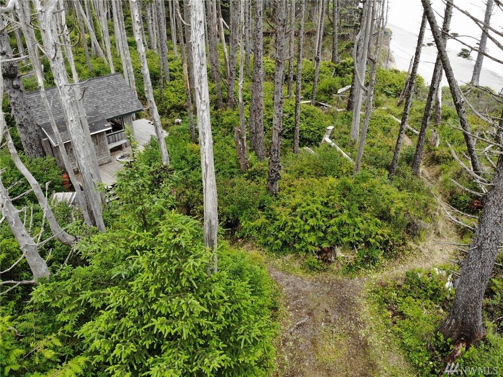 999 Cape Elizabeth Rd, Quinault, WA 98575 Trulia
