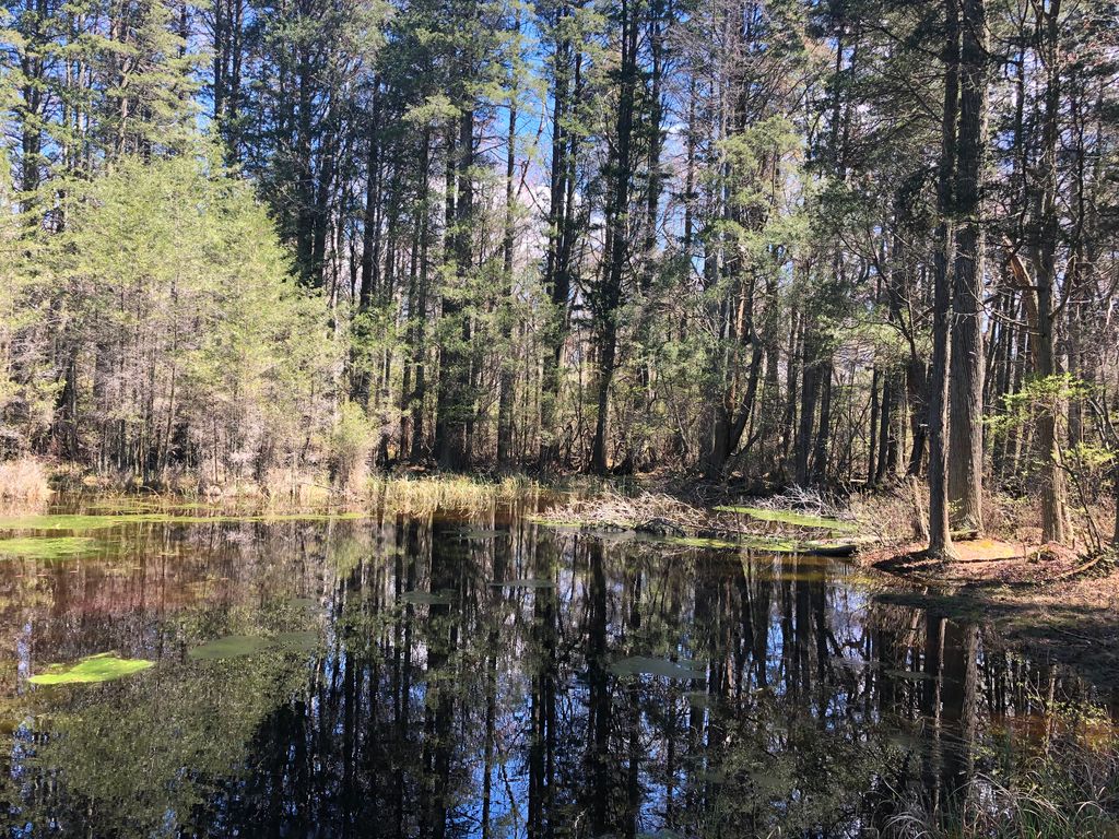 Avenue A, Maurice River, NJ 08340 Trulia