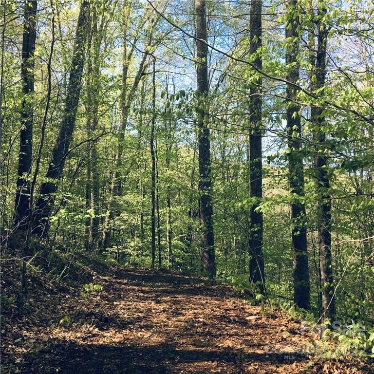 57 Fern Hill Dr, Mars Hill, NC 28754 MLS 3855504 Trulia