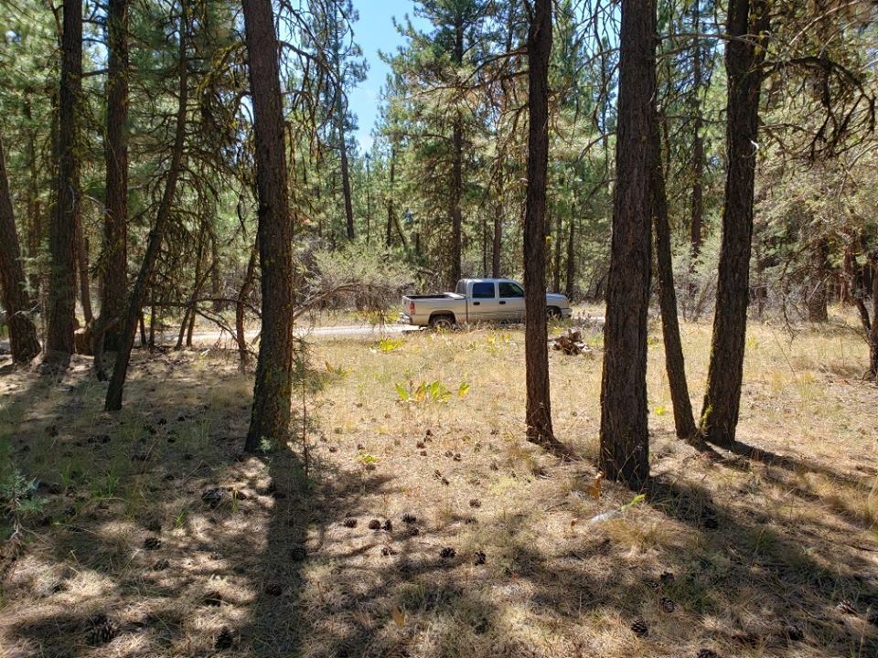 Marlin Rd, Bonanza, OR 97623 Trulia