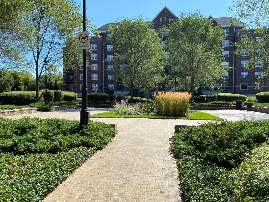 470 W Mahogany Ct #701, Palatine, IL 60067