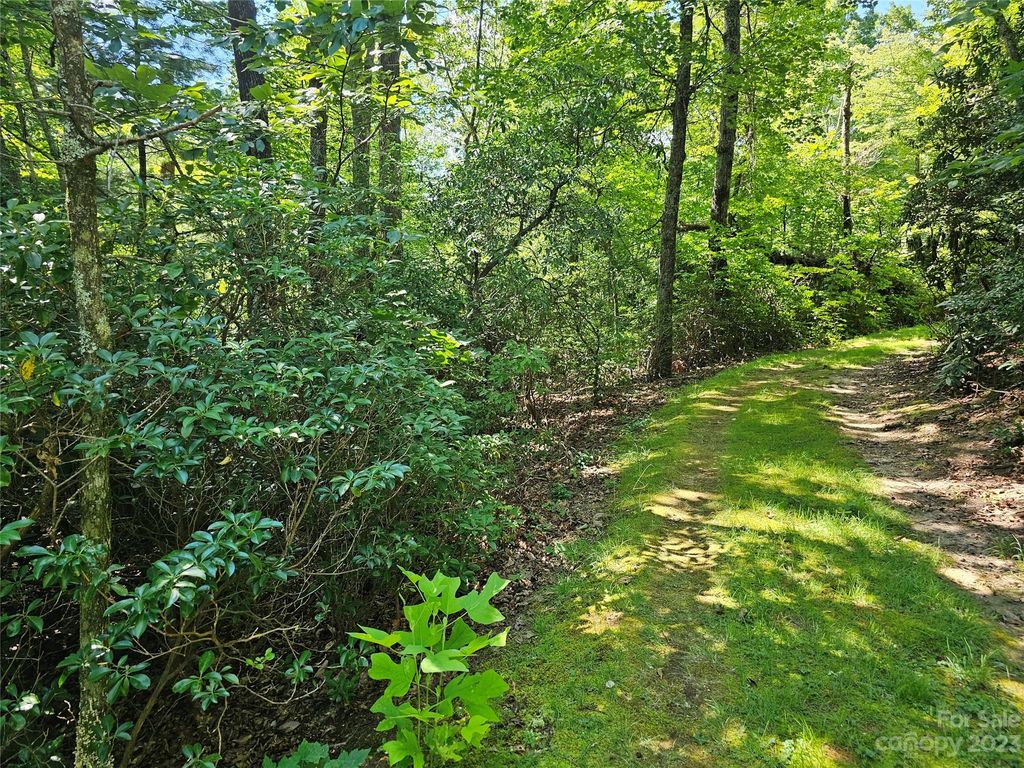 Mountain Cove Rd   #10, Hendersonville, NC 28792