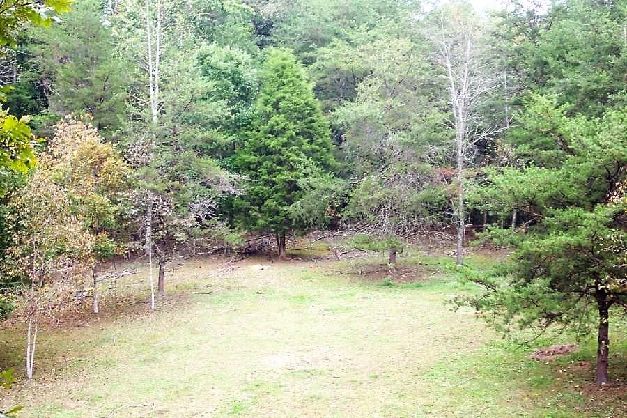 Jones cove Rd, Cosby, TN 37722 Trulia