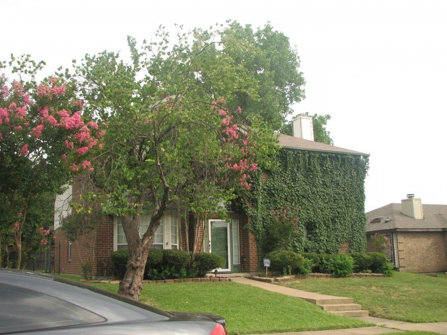 3503 Tulip Ln, Rowlett, TX 75089