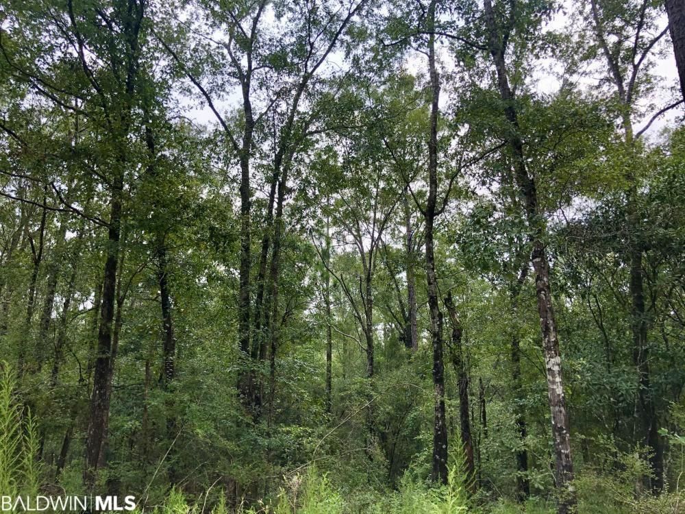 Private Rd, Mc Intosh, AL 36553 Trulia