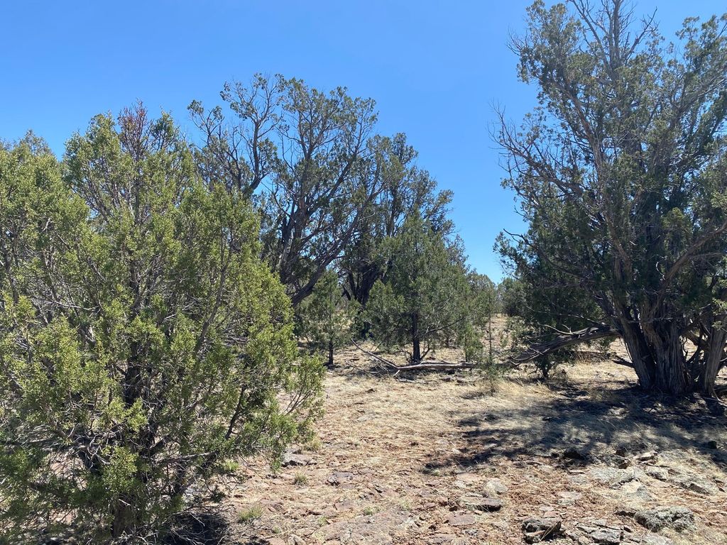 733 Westwood Ranches Pass 7, Williams, AZ 86046 Trulia