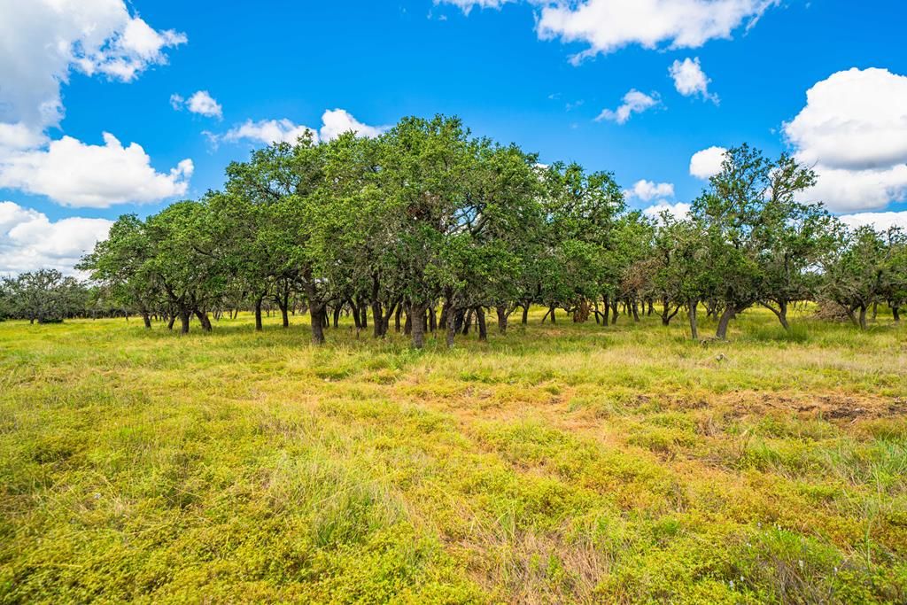 6 Legacy Oaks Dr, Harper, TX 78631