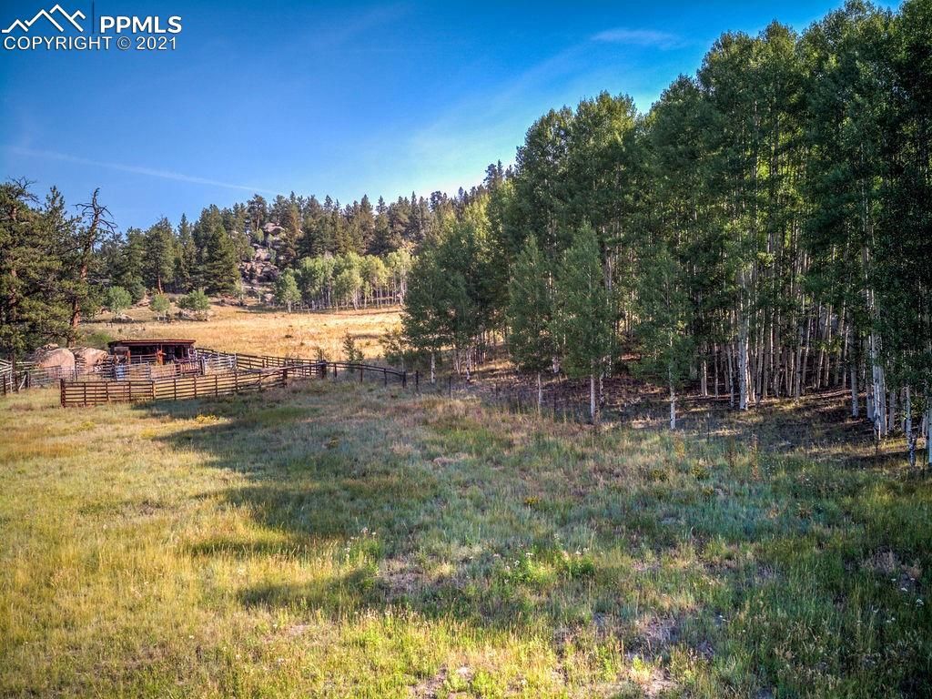 35803 Highway 24, Lake CO 80827 Trulia