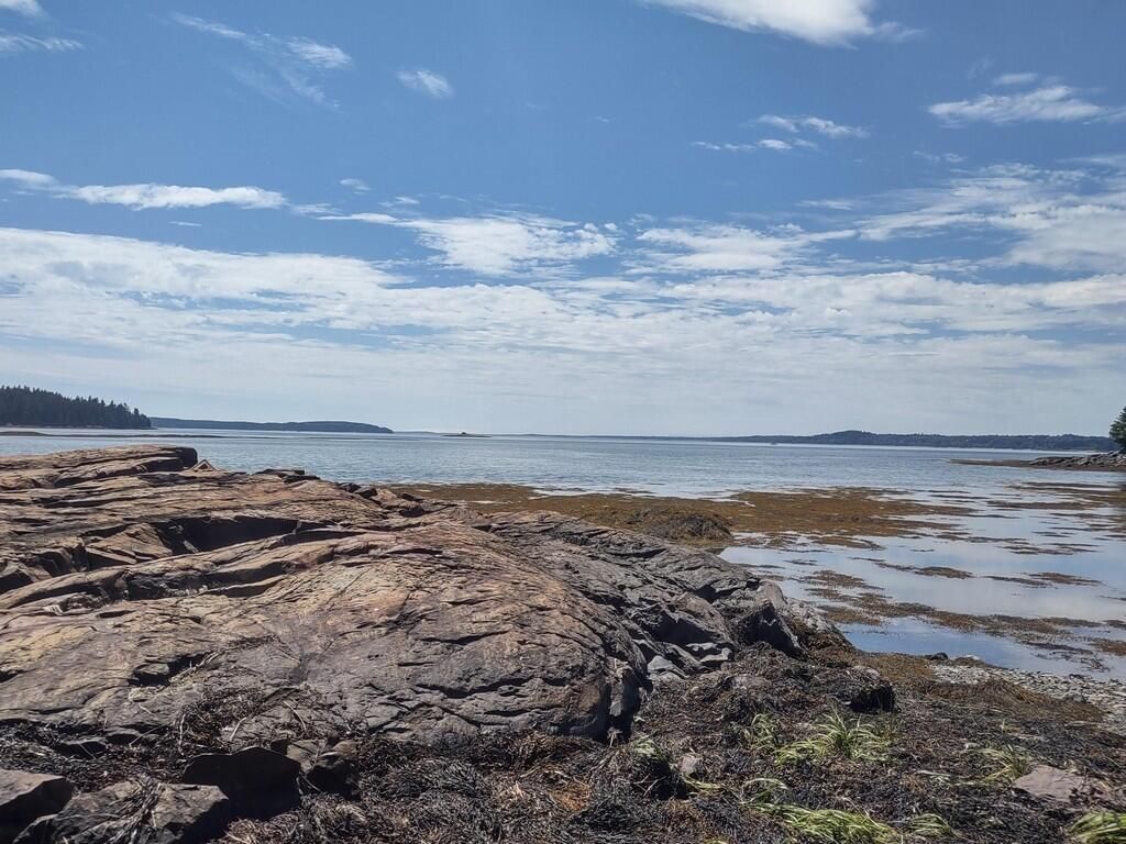 Lot 25 Chamber's Point Road Lot 48, Machias, ME 04654 MLS 1539025