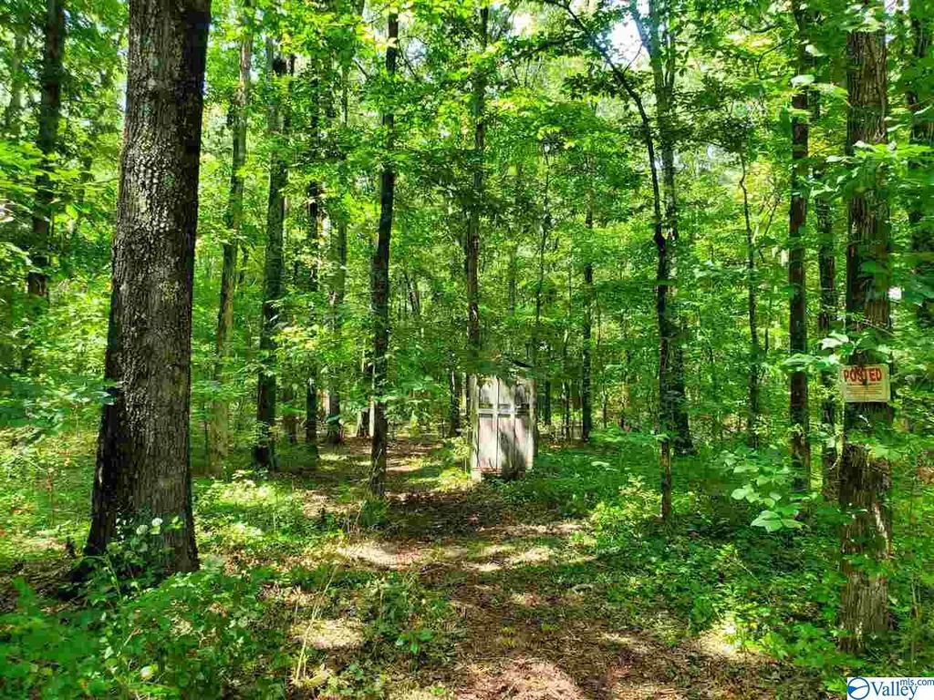 23385 Saint John Rd, Athens, AL 35613 Trulia