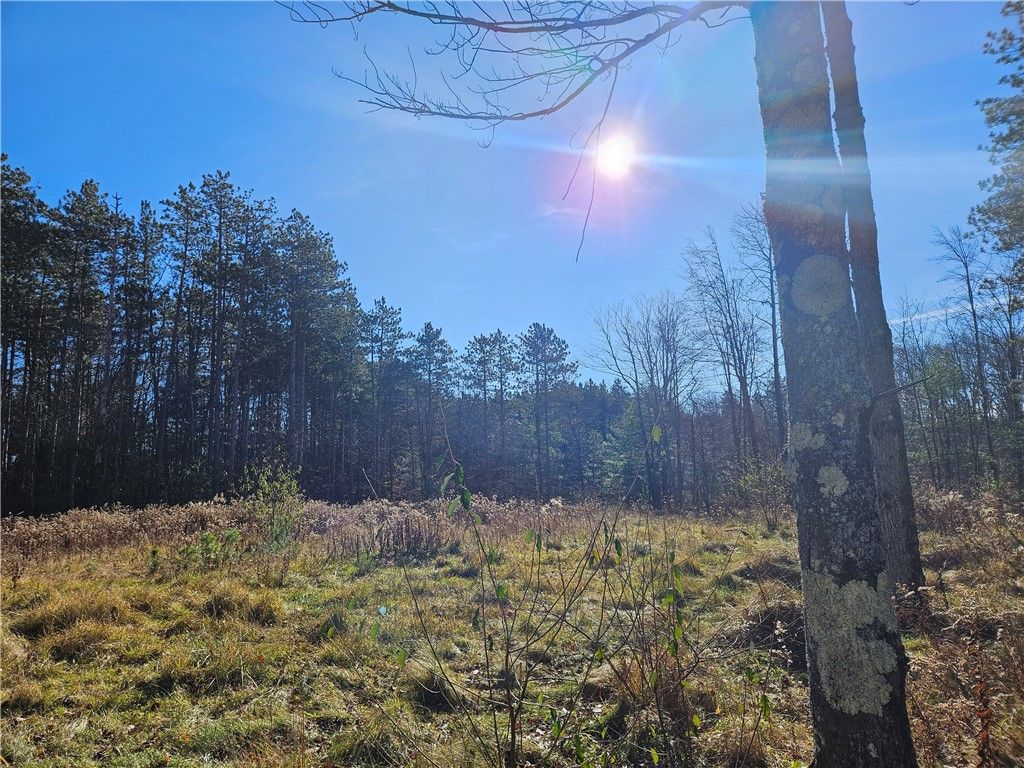 37 Coy Hill Rd, Spencer, NY 14883 Trulia