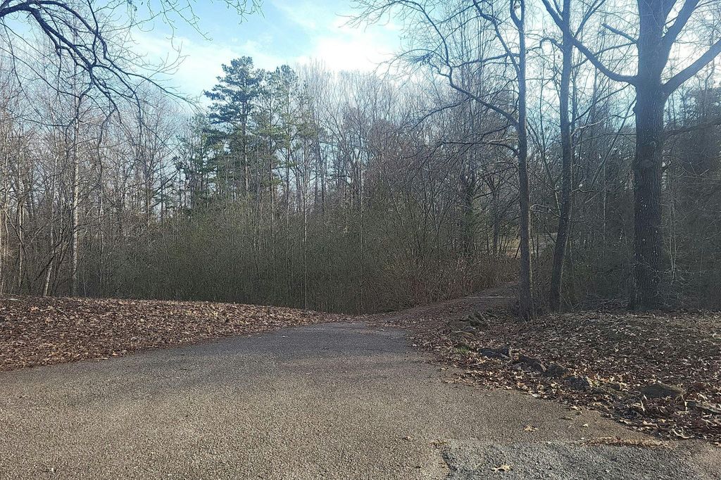 1895 Red Sulphur Rd, Counce, TN 38326 Trulia