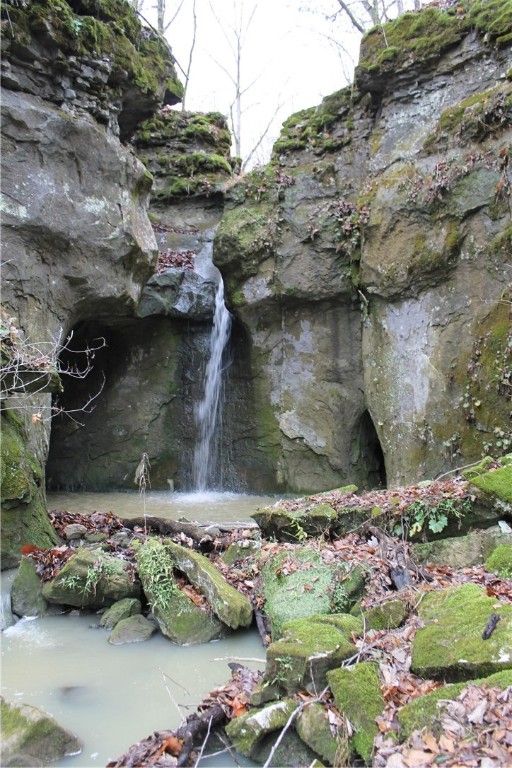 NC8129, Parthenon, AR 72666 Trulia