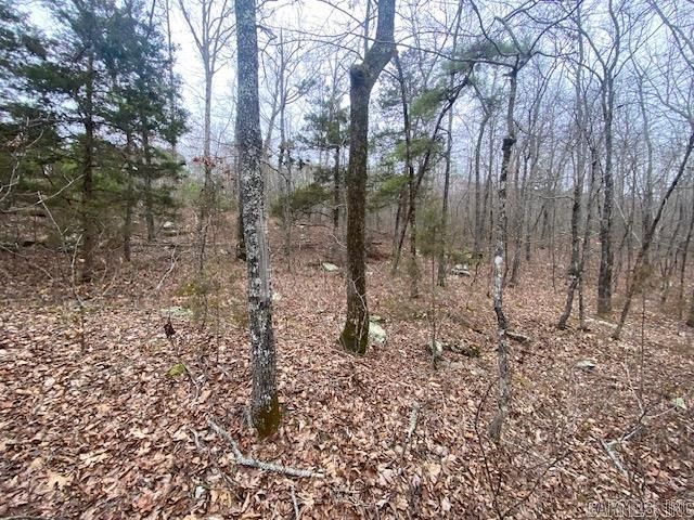 Lot 76 Mustang Dr #SEE, Clinton, AR 72031