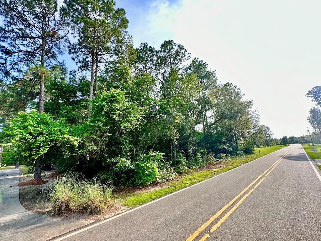 Slash Pine Dr, Broxton, GA 31519 Lot/Land for Sale MLS 111980