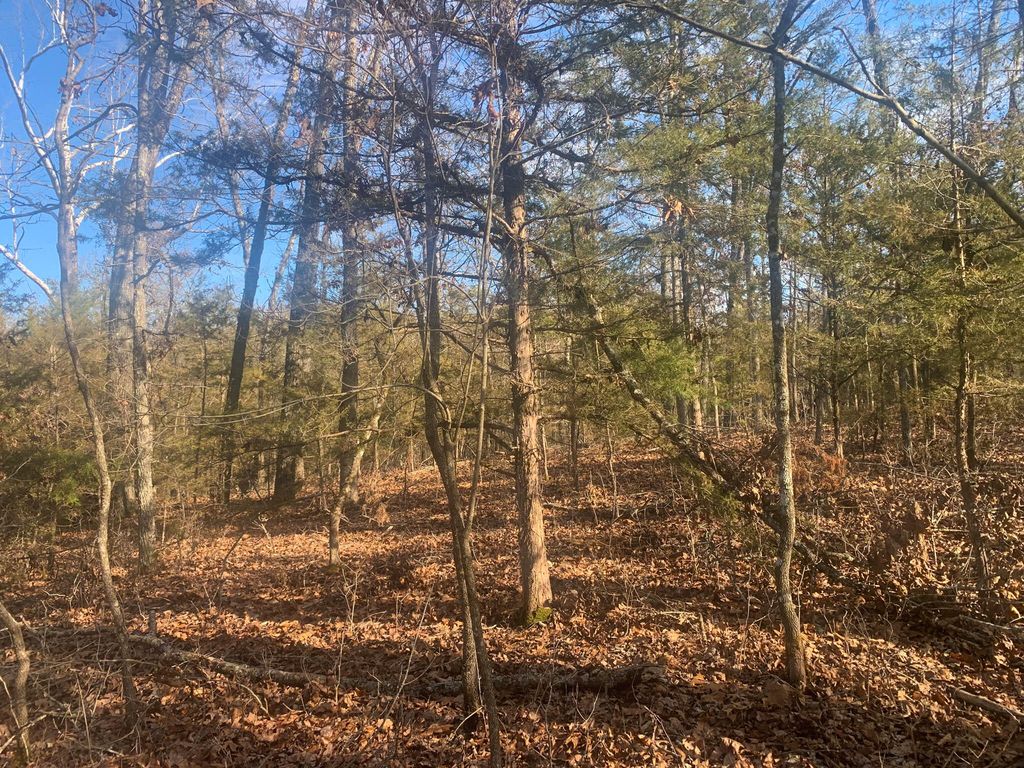 000 Jackson Hollow Road, Gainesville, MO 65655 Trulia