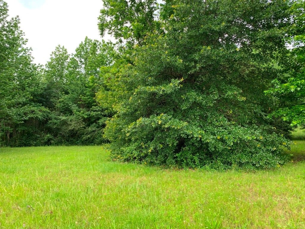 42 An County Rd 3009, Frankston, TX 75763 MLS 20341513 Trulia